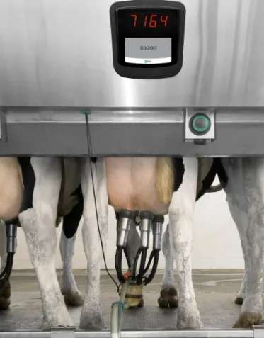 dataflow-milking